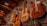 Several classical guitars hang on a display wall, with acoustic bodies made from light and dark wood. The setting appears to be a music store with a wooden ceiling and other musical instruments visible on the sides.