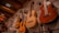 Several classical guitars hang on a display wall, with acoustic bodies made from light and dark wood. The setting appears to be a music store with a wooden ceiling and other musical instruments visible on the sides.
