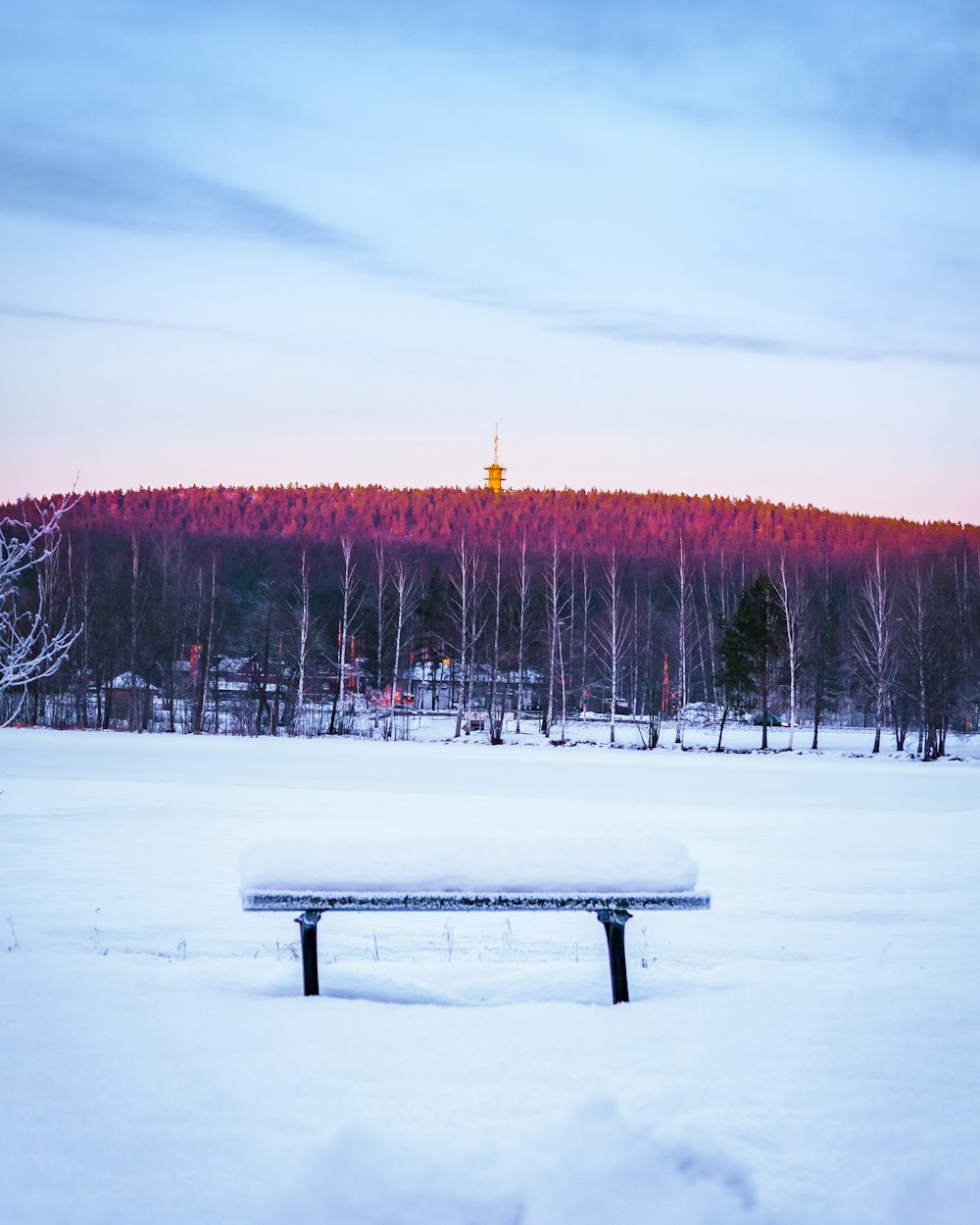 brown wooden bench on snow covered ground