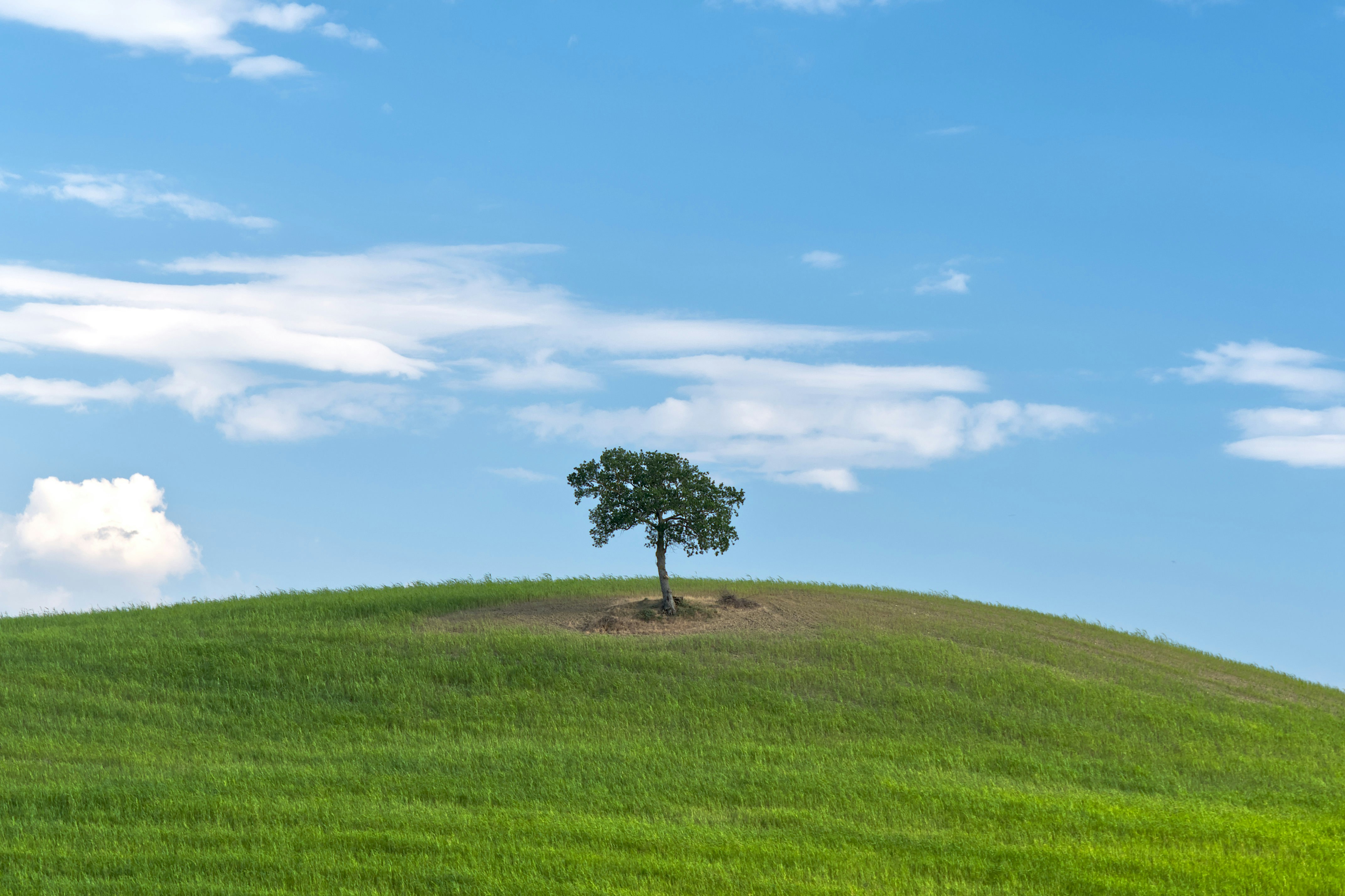 The Middle-Income Trap: Why Growth Stalls After Initial Success