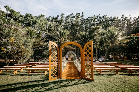An outdoor wedding setting is arranged with a rustic wooden archway and benches on a grassy lawn surrounded by lush trees. The clear sky and sunlight create a peaceful and inviting atmosphere, with the aisle lined with flowers.