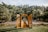 An outdoor wedding setting is arranged with a rustic wooden archway and benches on a grassy lawn surrounded by lush trees. The clear sky and sunlight create a peaceful and inviting atmosphere, with the aisle lined with flowers.