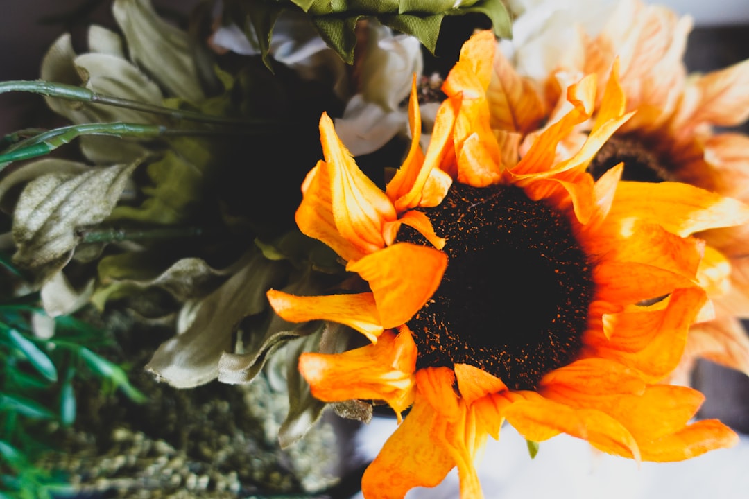 yellow flower with green leaves