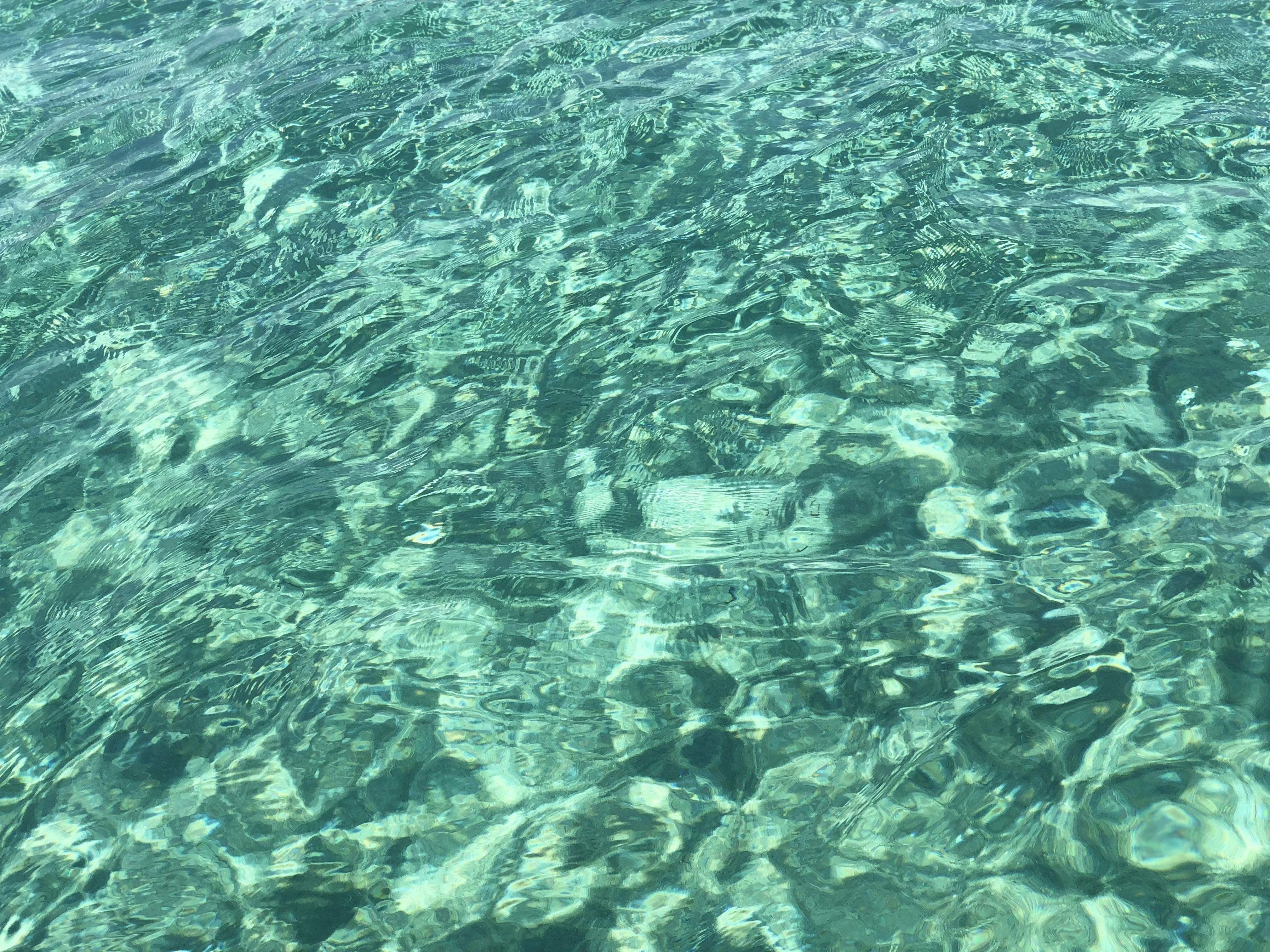 Photo by kalabalikevim