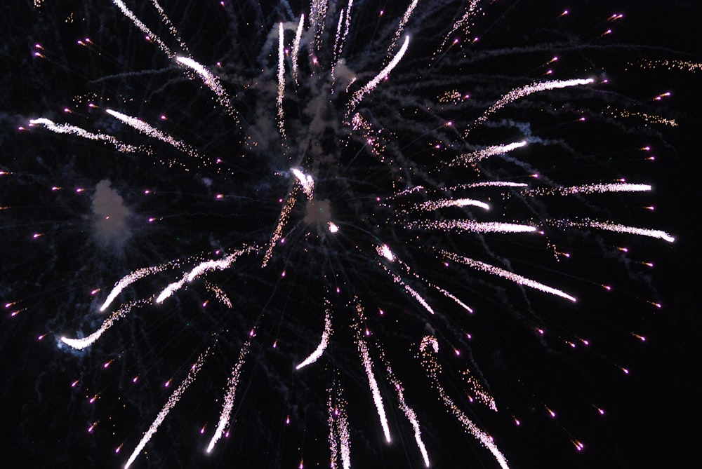 white and black fireworks display