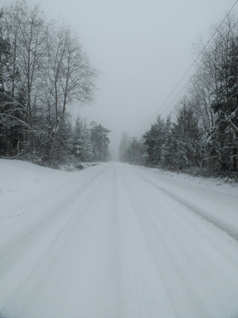 snow covered road between trees during daytime