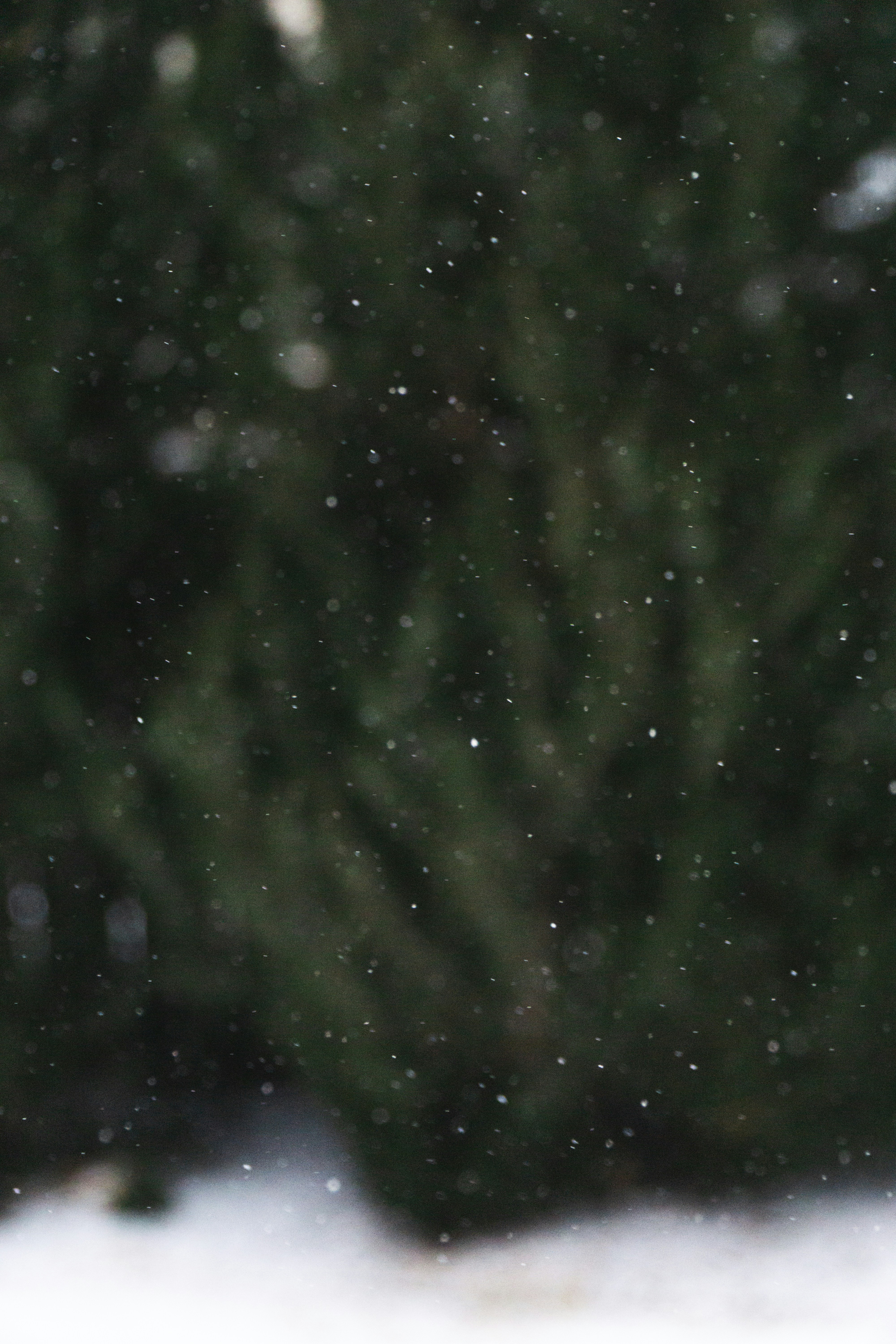 Photo by derpancakes