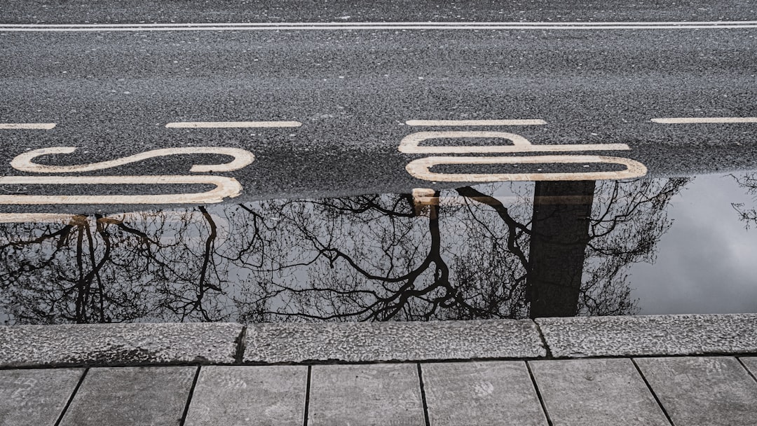 gray concrete road with no cars