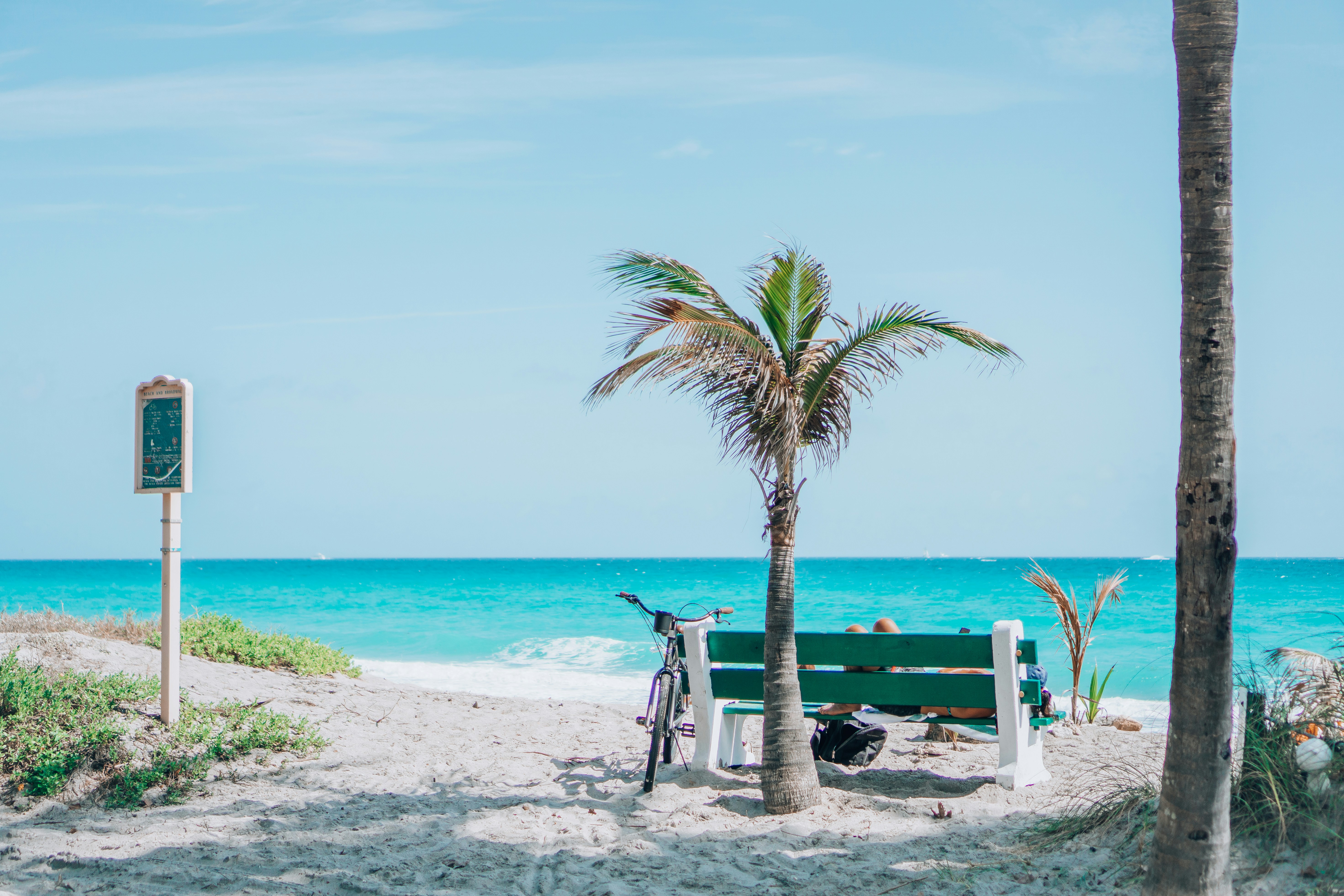 1000+ Beach Scene Pictures | Download Free Images on Unsplash