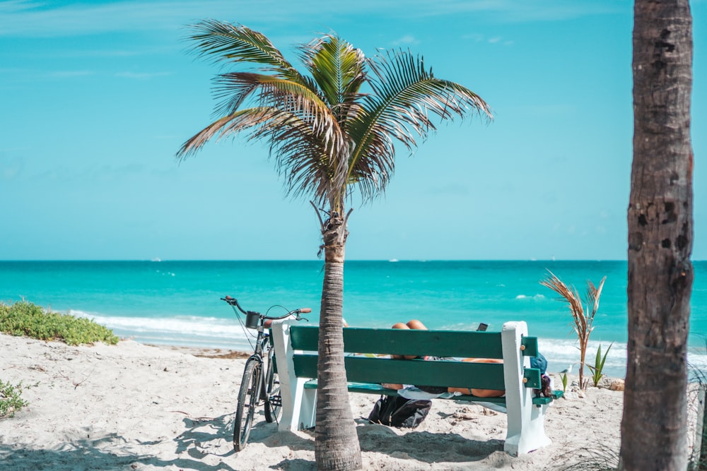 green palm tree on beach during daytime