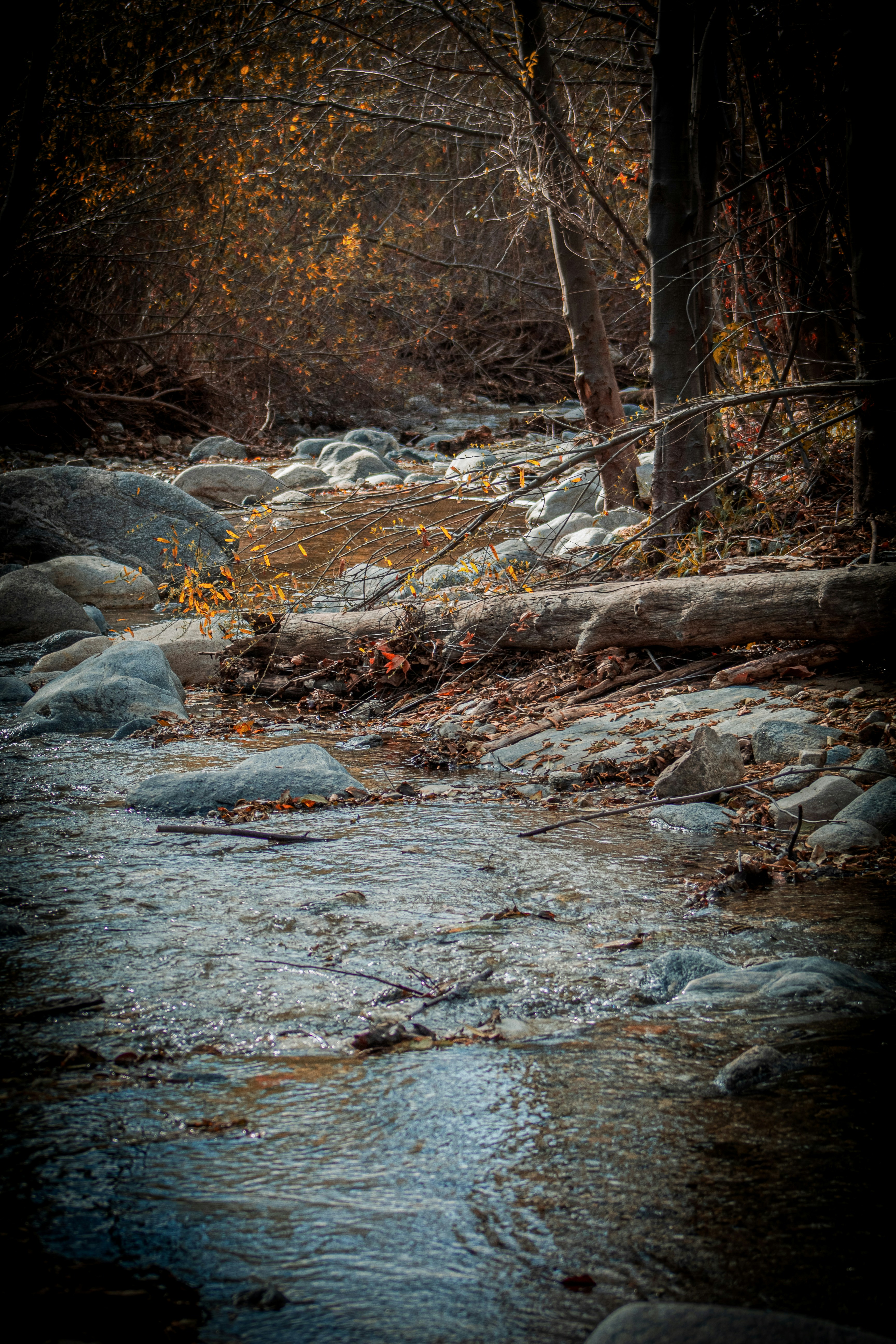 Photo by srivats22