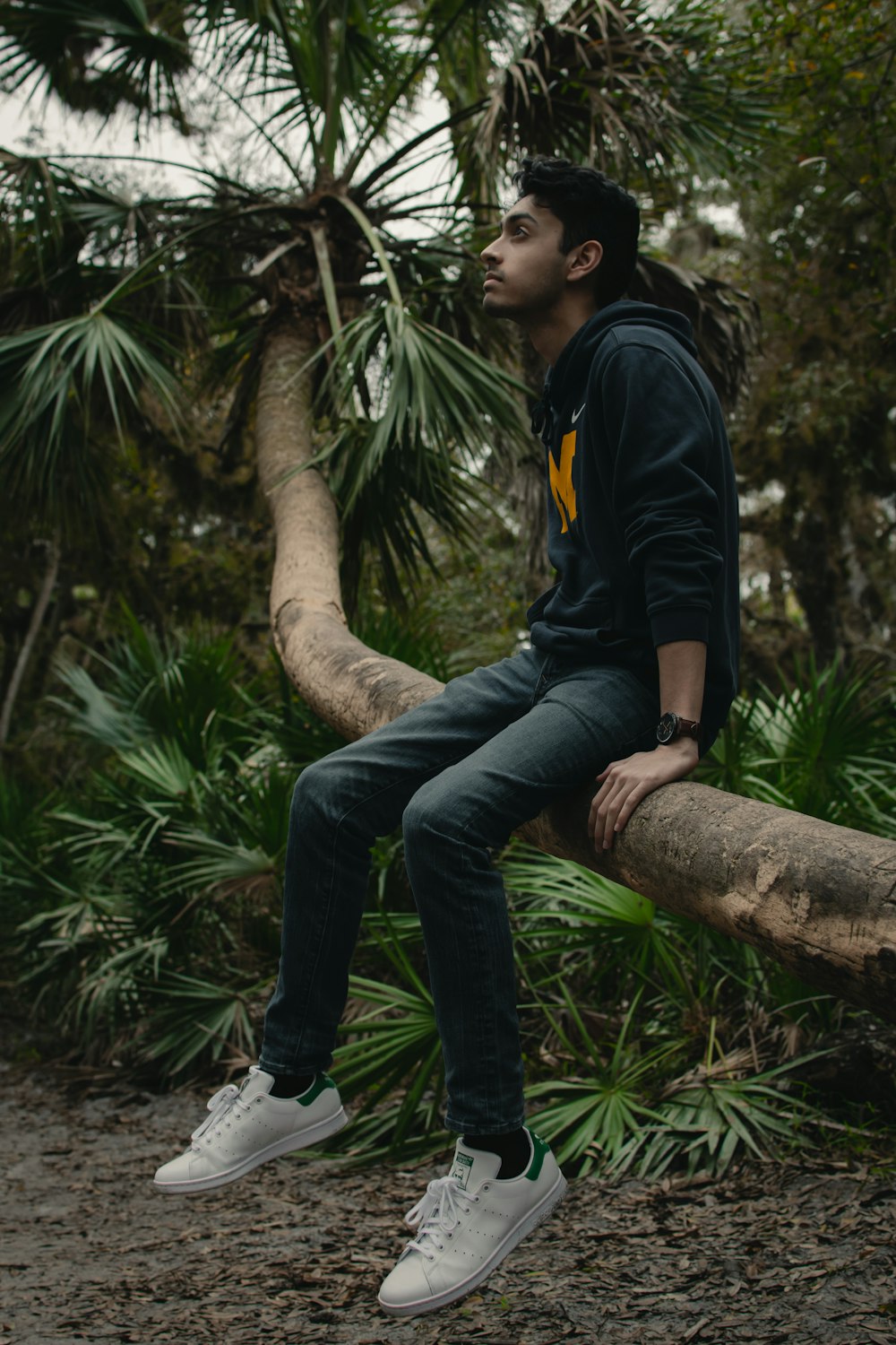 man in black and yellow jacket sitting on tree branch