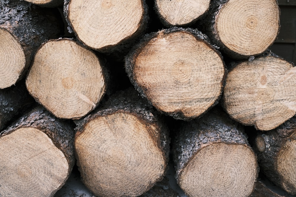 brown tree logs on black soil