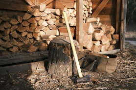 brown wooden stick on fire woods