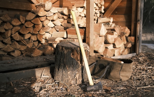 brown wooden stick on fire woods