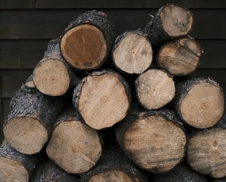 brown and black wood logs