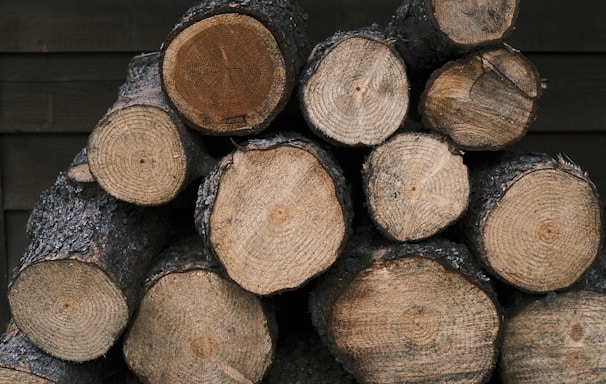 brown and black wood logs