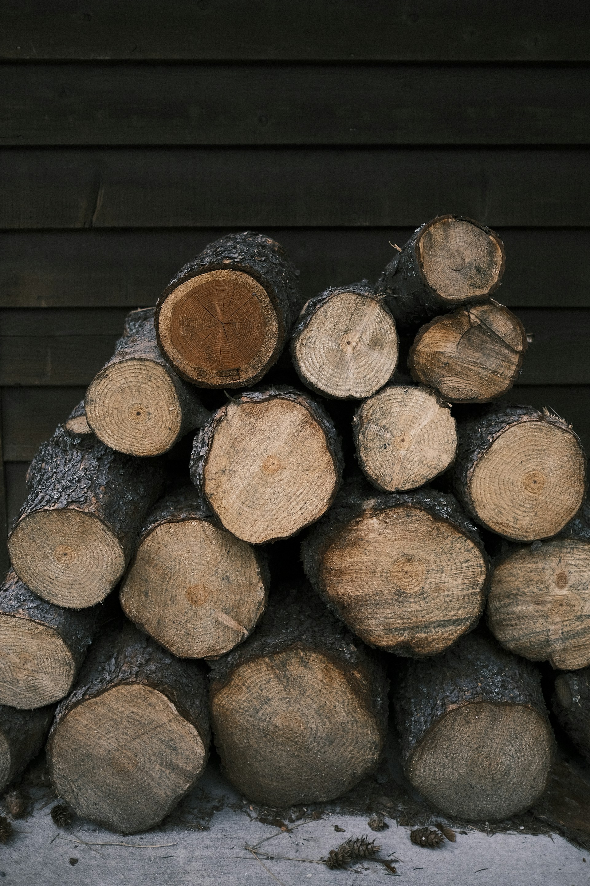 brown and black wood logs