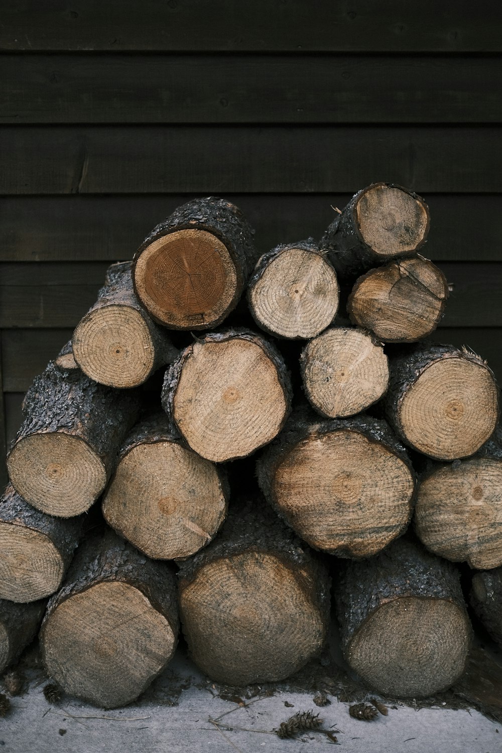 Troncos de madera marrón y negro