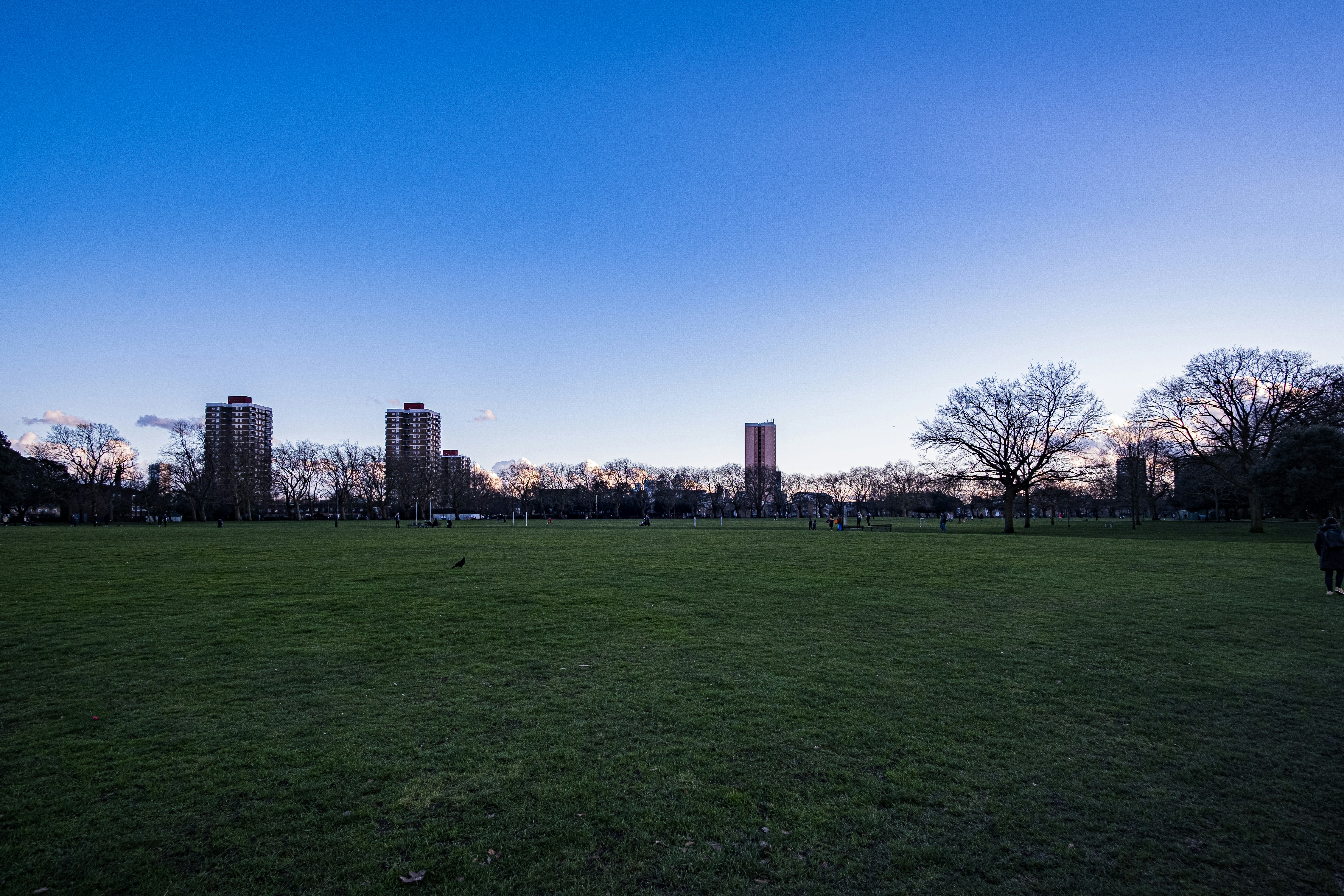 Containers in Idleyld Park, OR