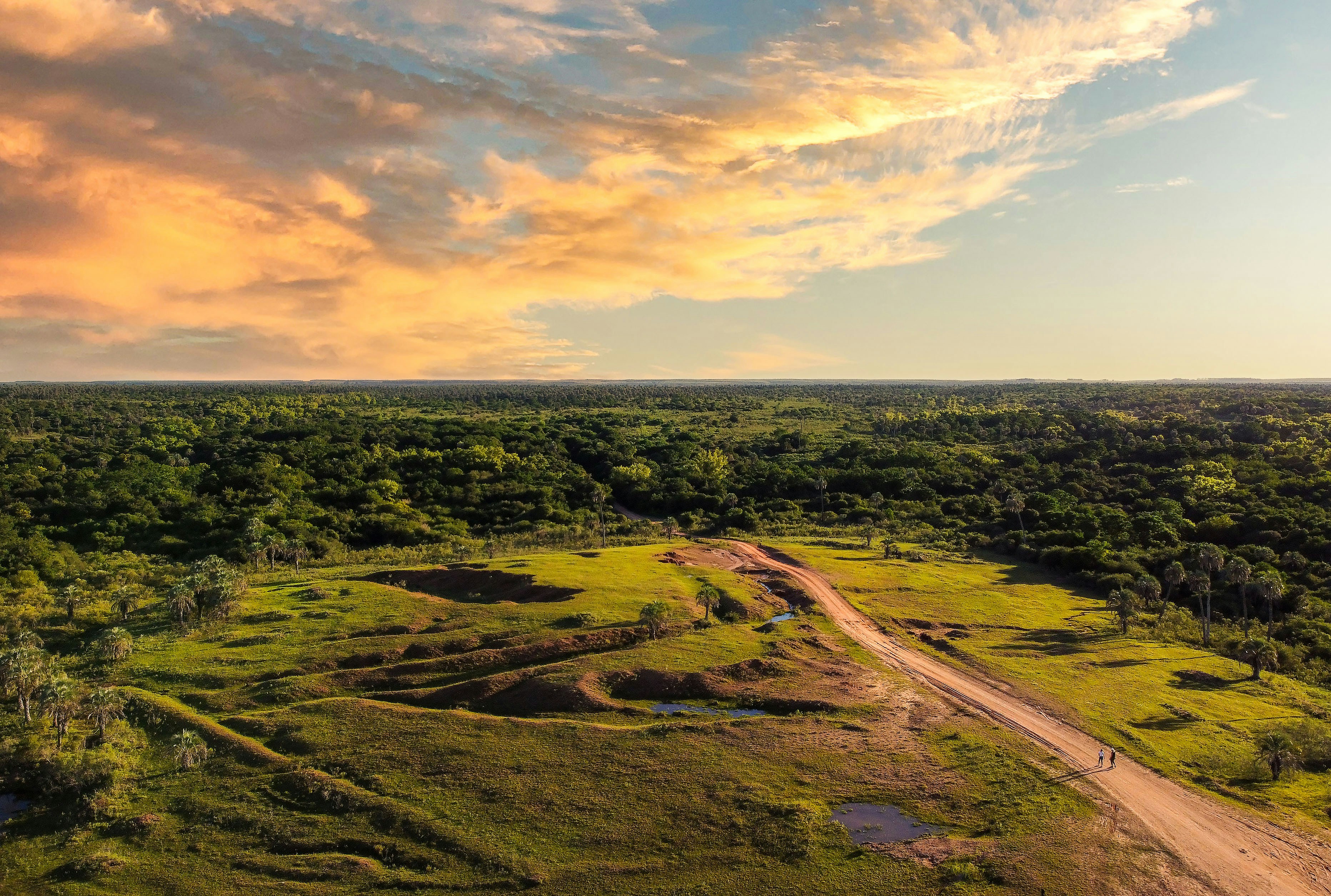 Photo by argentinanatural