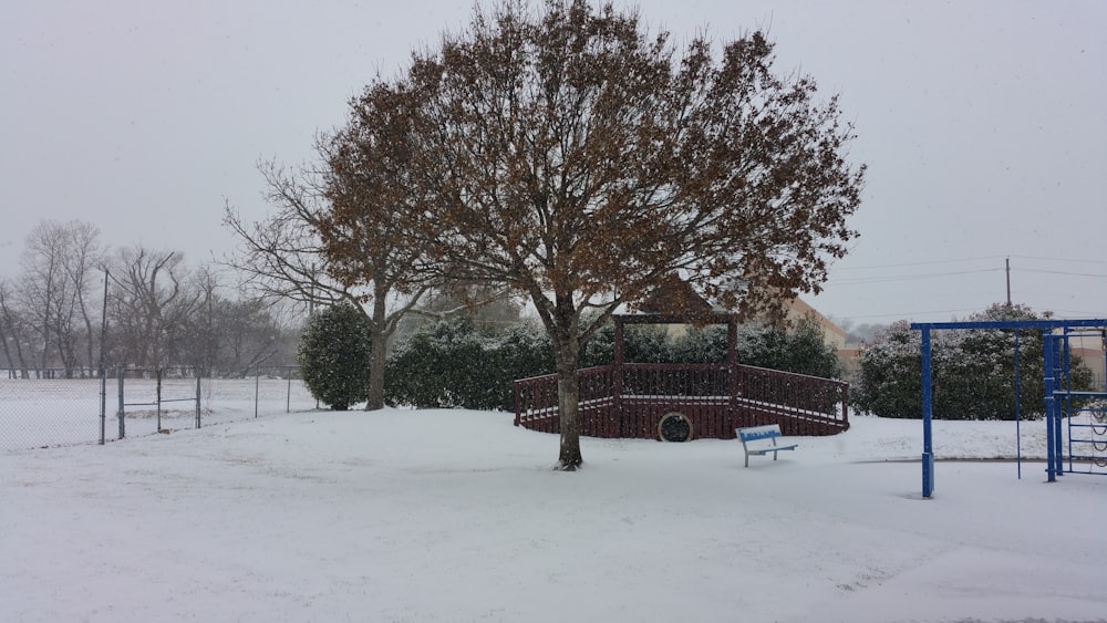 brown wooden bench on snow covered ground