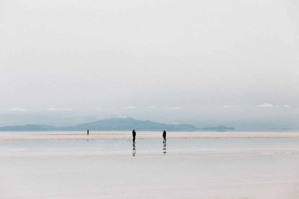 2 person walking on white sand beach during daytime