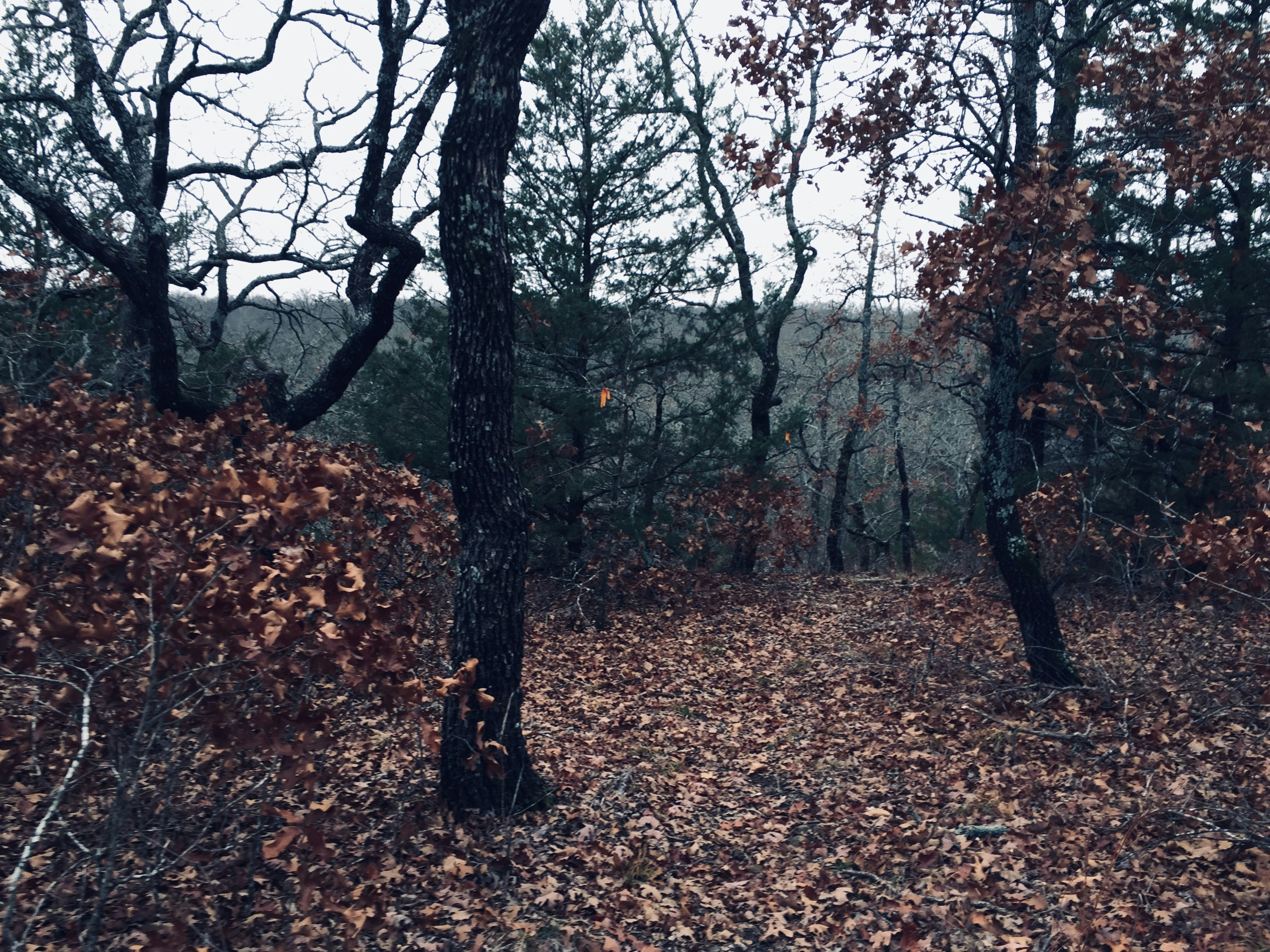 Photo by lucaislit