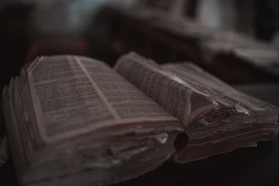 An open old newspaper with delicate serif fonts and a grayscale palette, evoking nostalgia.