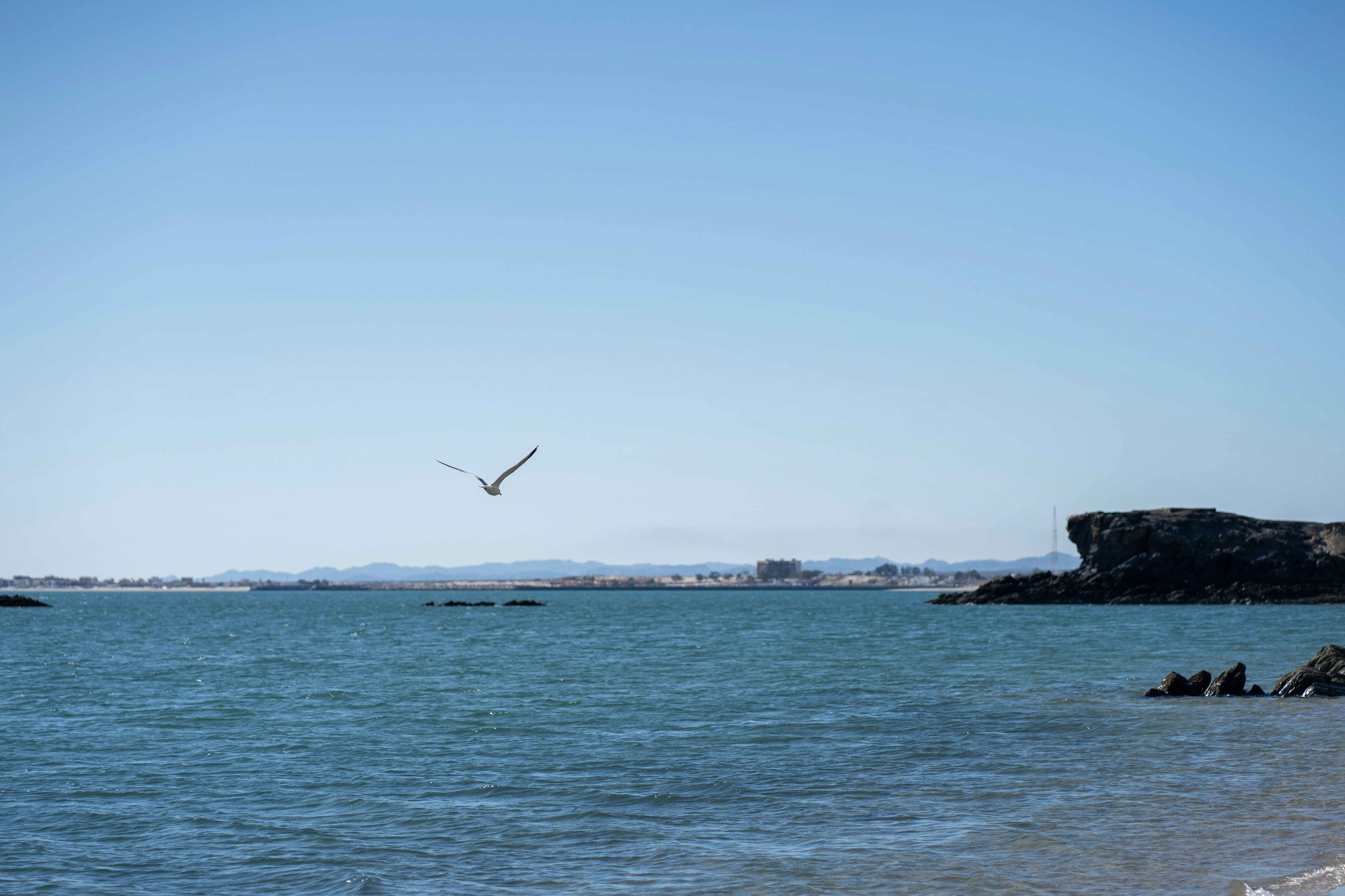 body of water under blue sky during daytime