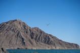 A large, rugged mountain rises sharply from a calm, bright blue ocean. The sky above is clear and also bright blue. A lone bird is flying in the sky, creating a contrast against the vast, arid landscape and open sea.