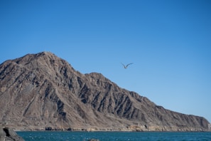 A large, rugged mountain rises sharply from a calm, bright blue ocean. The sky above is clear and also bright blue. A lone bird is flying in the sky, creating a contrast against the vast, arid landscape and open sea.