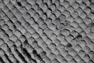 Top view of a mattress with a smooth, quilted surface.