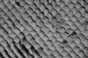 Biologic Graft Material