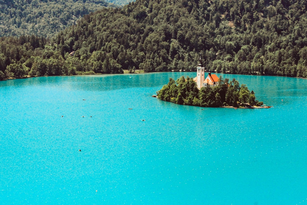 white boat on blue water near green trees during daytime