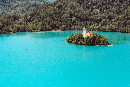 white boat on blue water near green trees during daytime in Lake Bled Slovenia