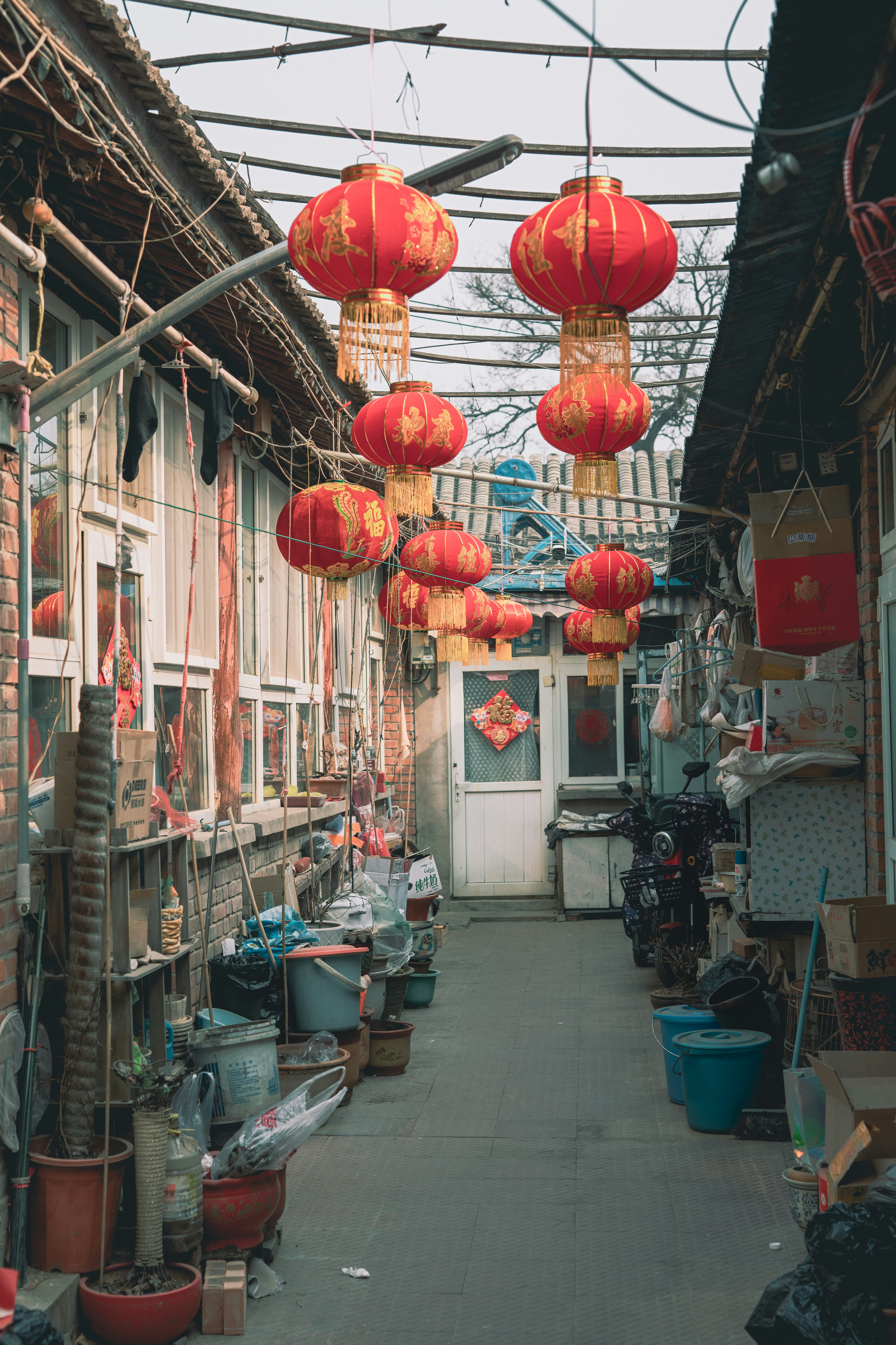 Red Paper Lanterns Hanging On Ceiling Photo Free Image On Unsplash