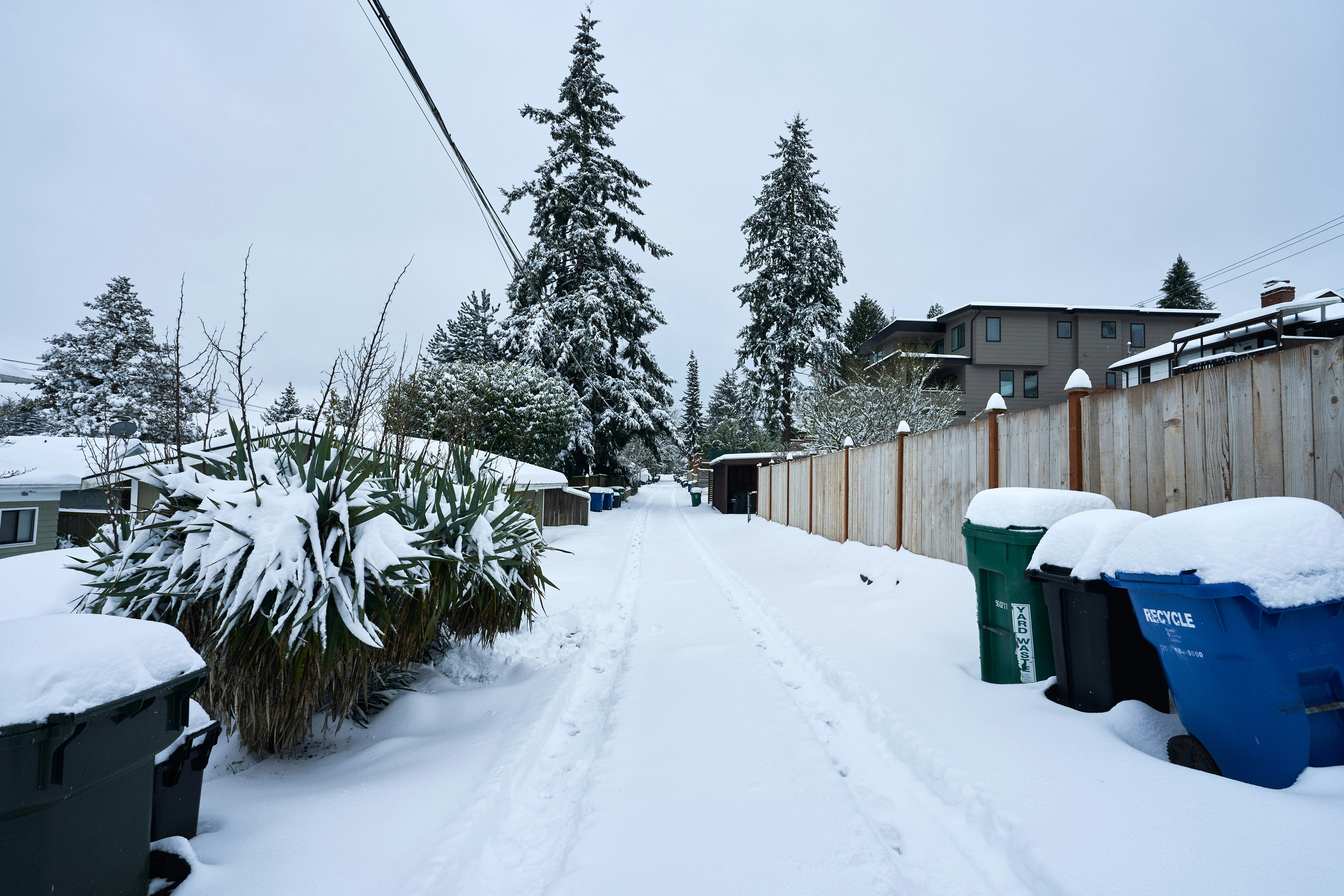 Photo by doctortinieblas