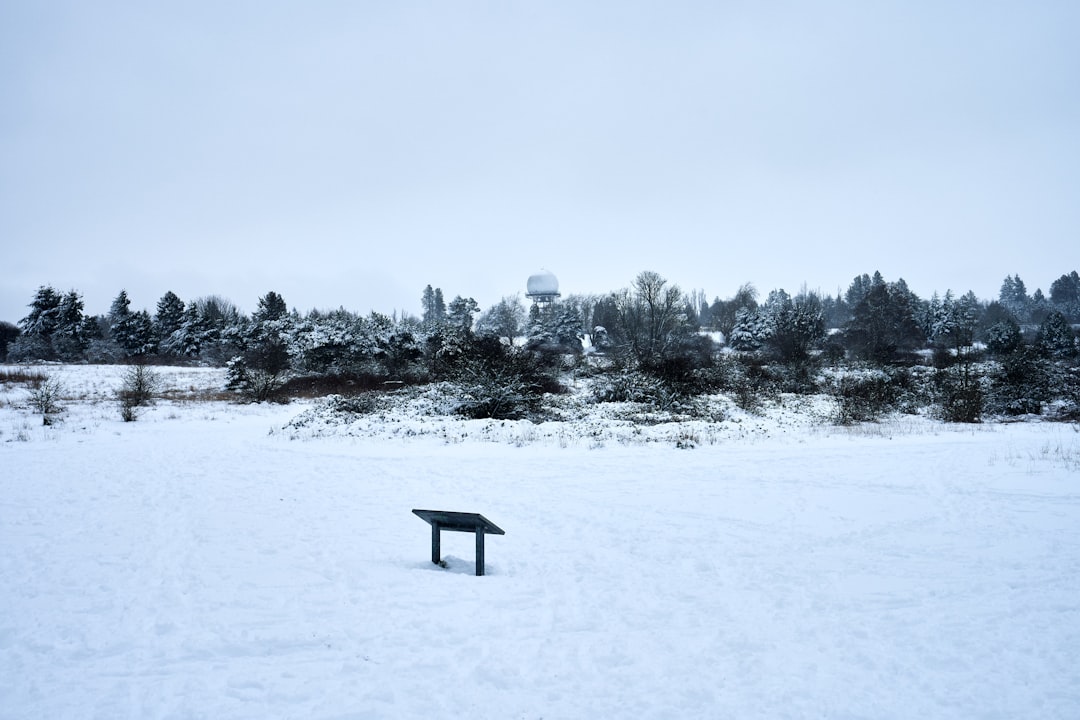 black wooden bench on snow covered ground during daytime