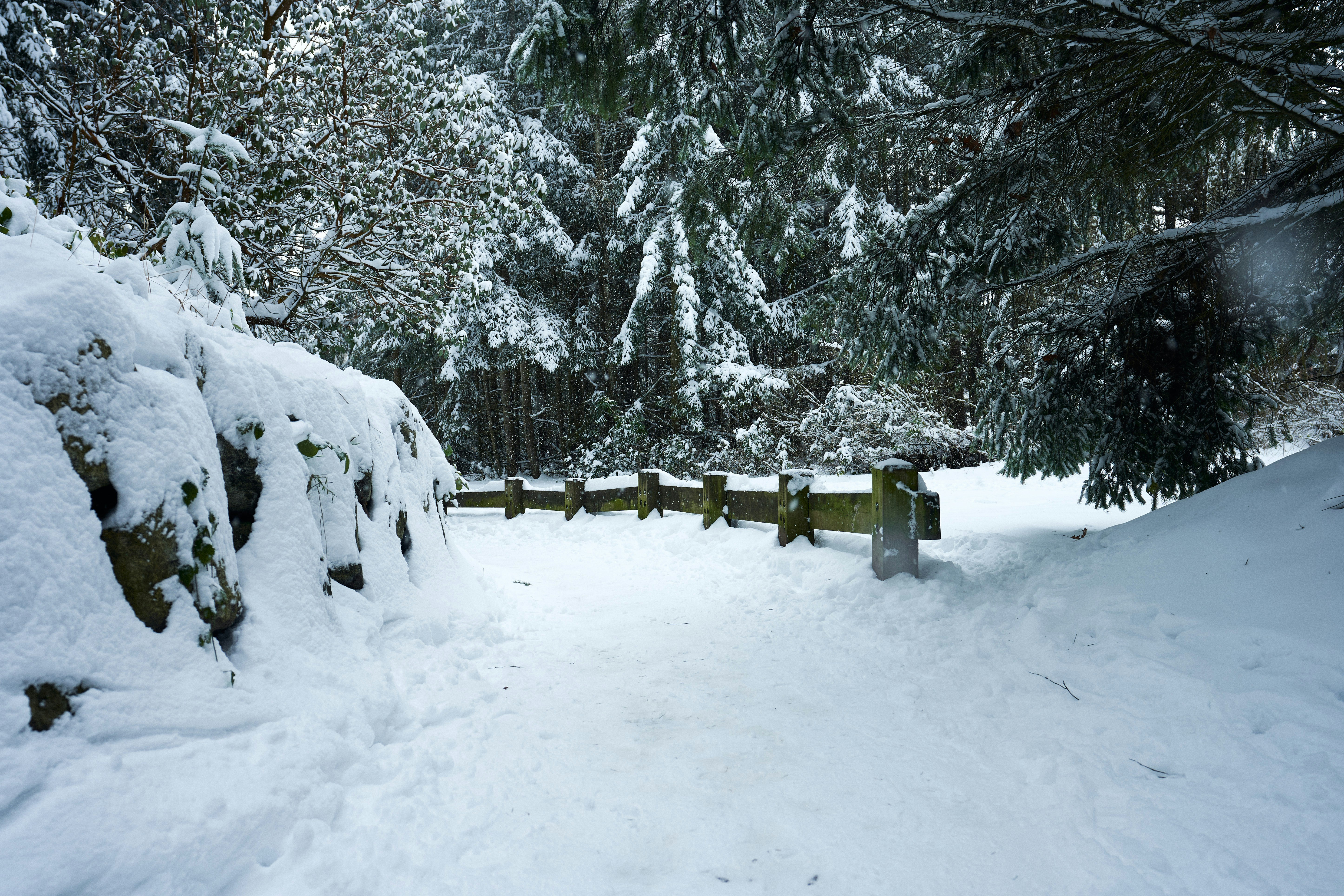 Photo by doctortinieblas