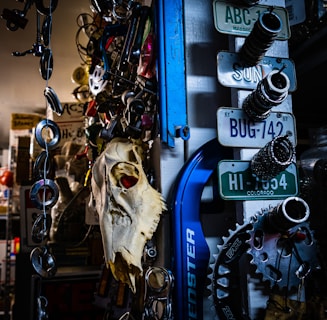 a picture of a hoarders garage