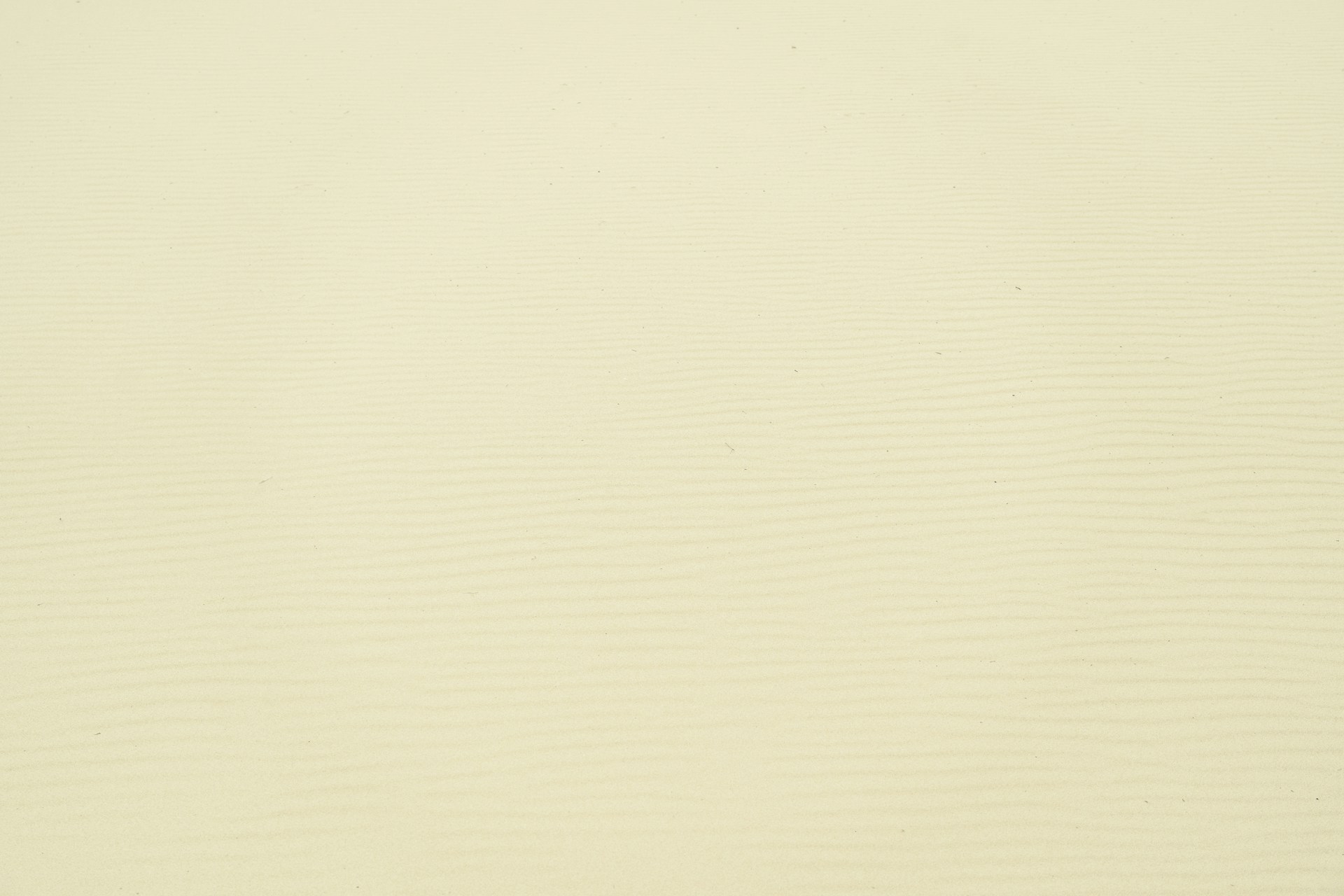 white wall paint with white paint