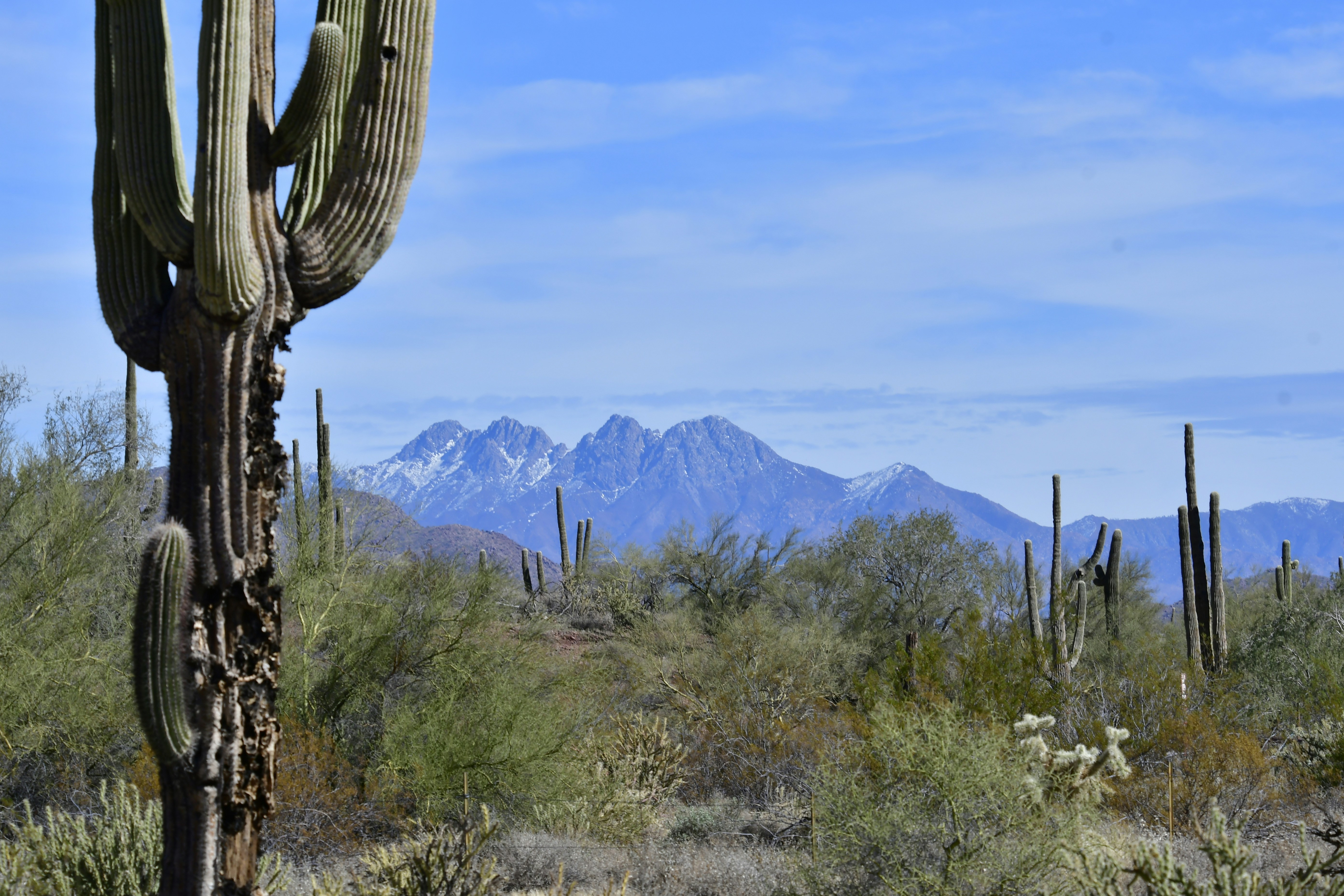 Photo by az_overland_adventures1