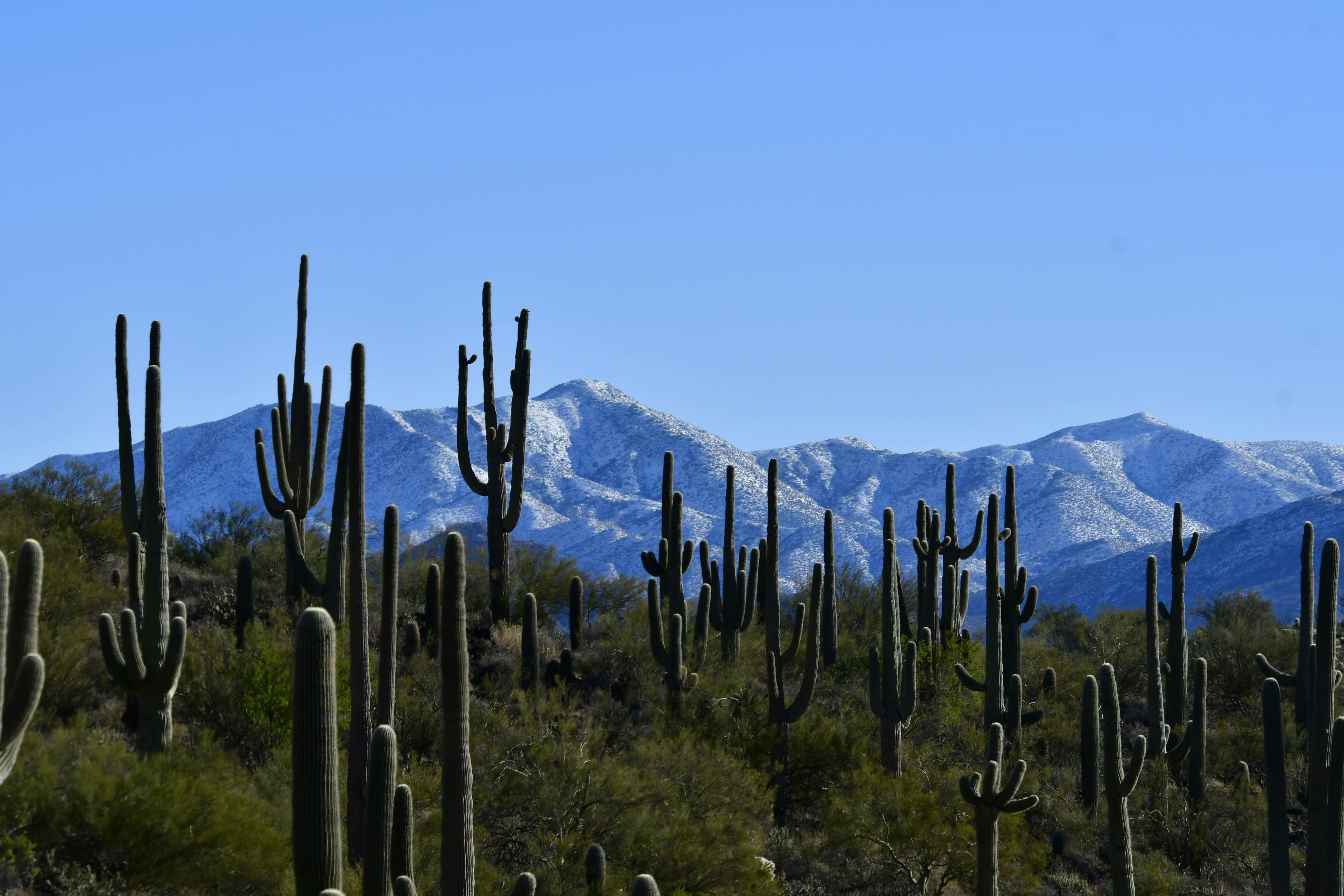 Photo by az_overland_adventures1