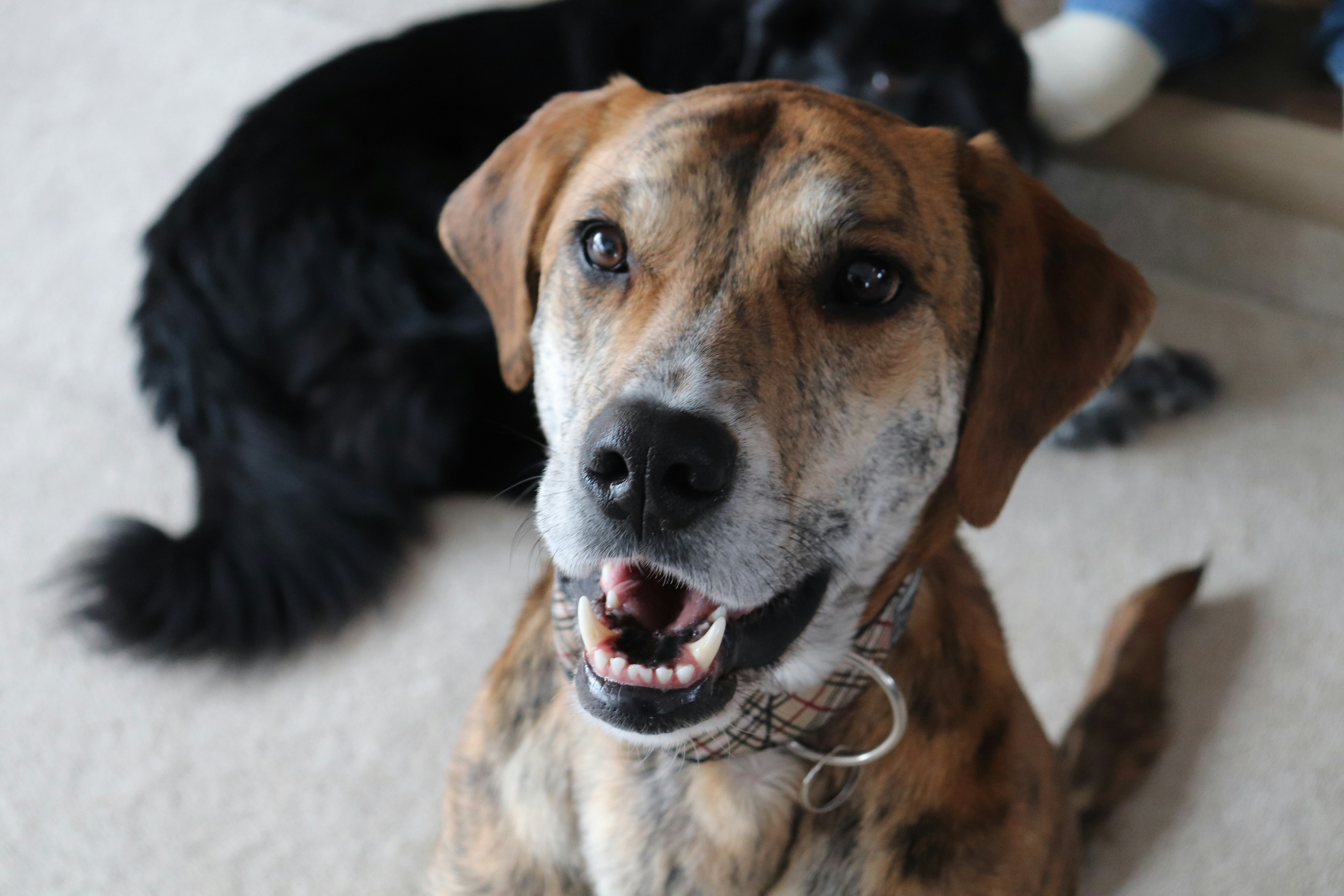 Photo by lizzy_mac_photography