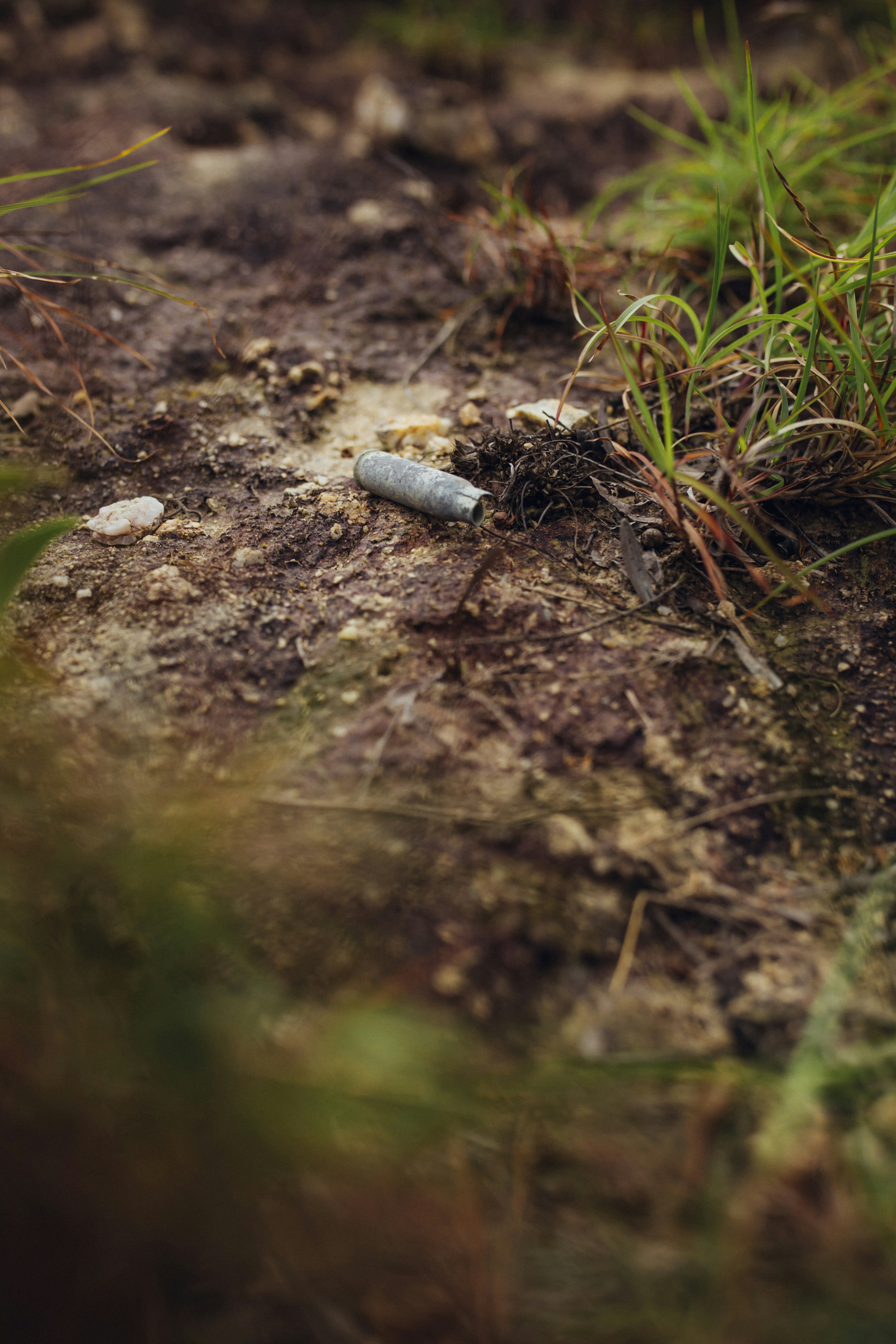 silver round coin on brown soil