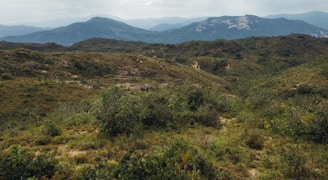 Green mountains and rolling hills typical of Cantabria's interior