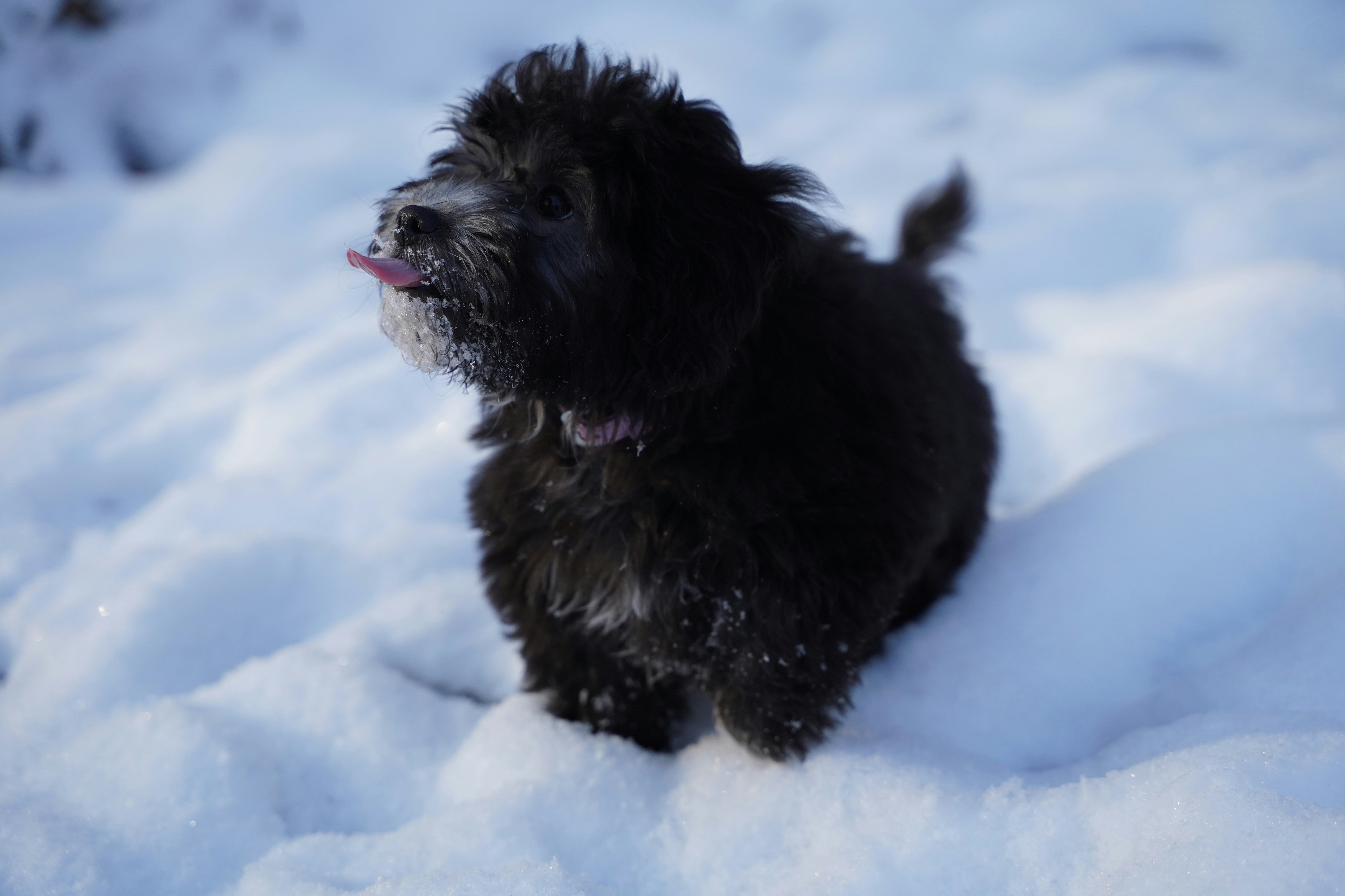 Photo by itssebastiant