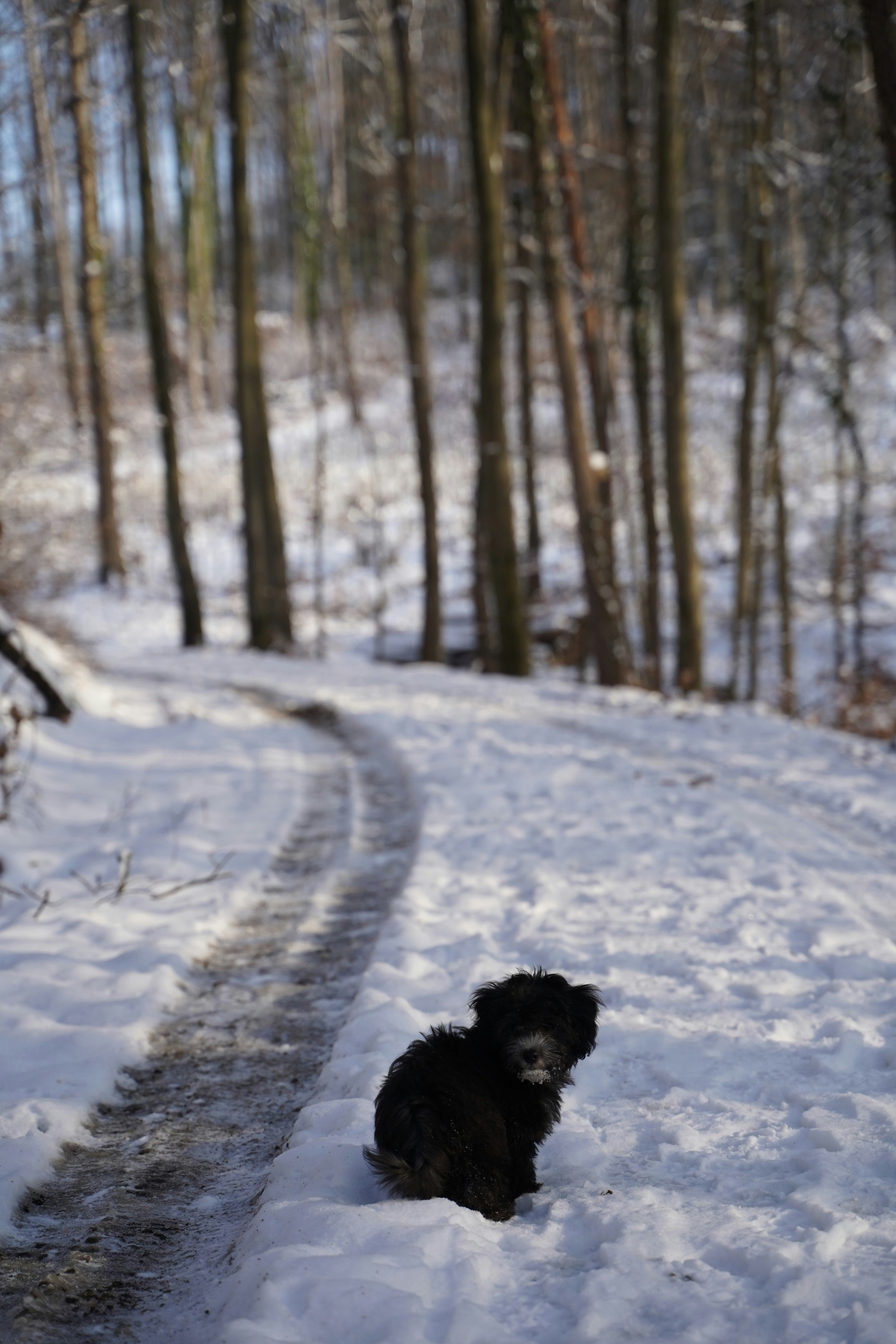 Photo by itssebastiant