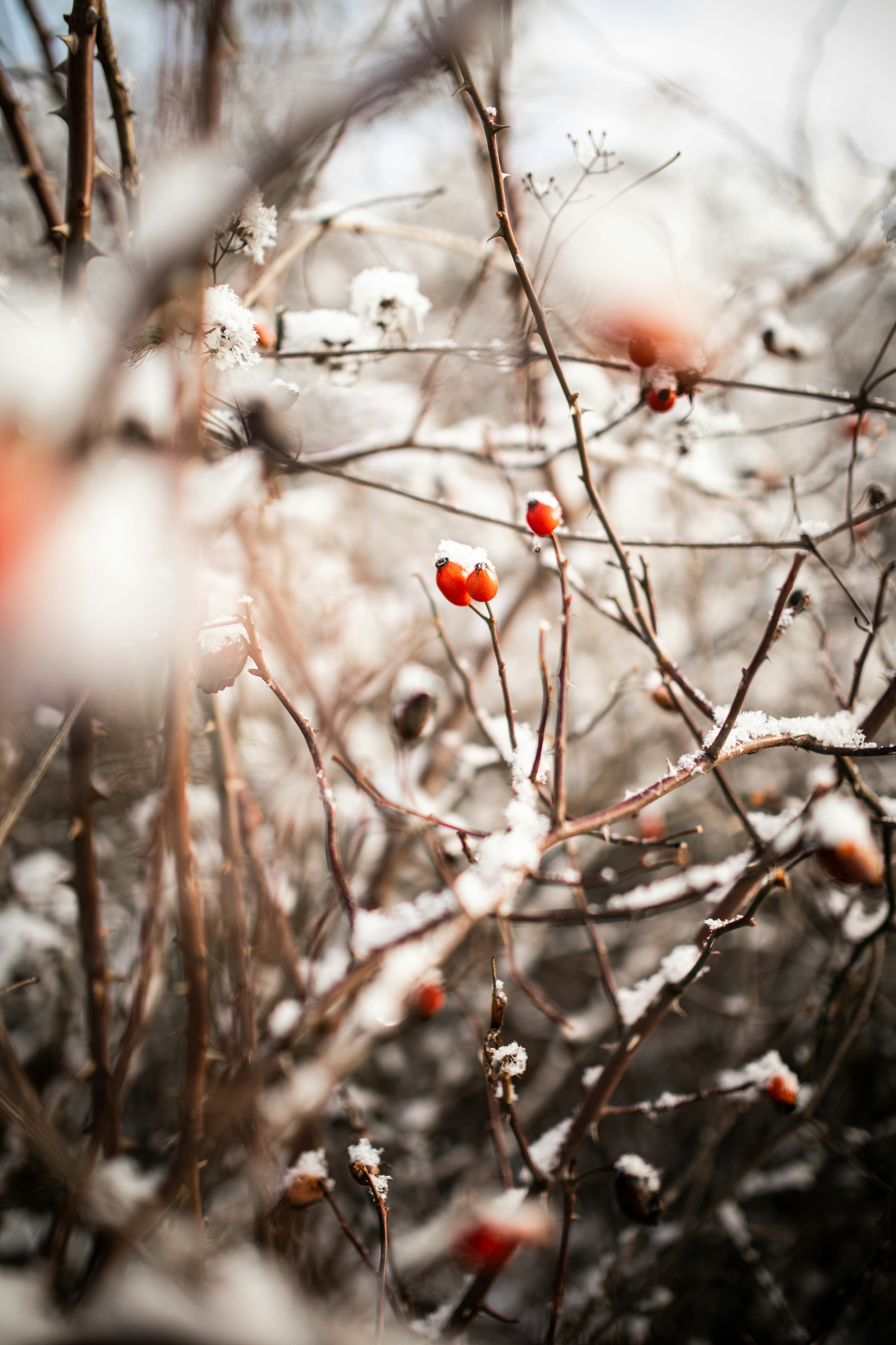 Photo by kajareichardtphotos